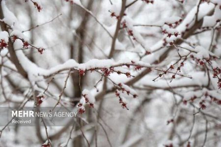 هشدار به کشاورزان ۳۱ استان با ورود سامانه بارشی جدید از سه‌شنبه - خبرگزاری مهر | اخبار ایران و جهان