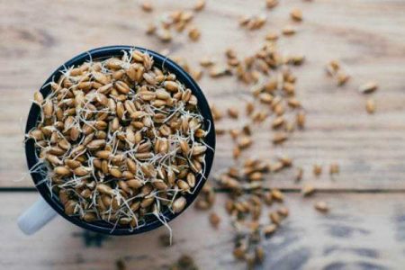 جوانه گندم برای قند خون