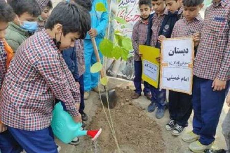 ایجاد ۳۴۰۰ نهالستان در مدارس؛ جلوه دیگری از اجرای سند تحول