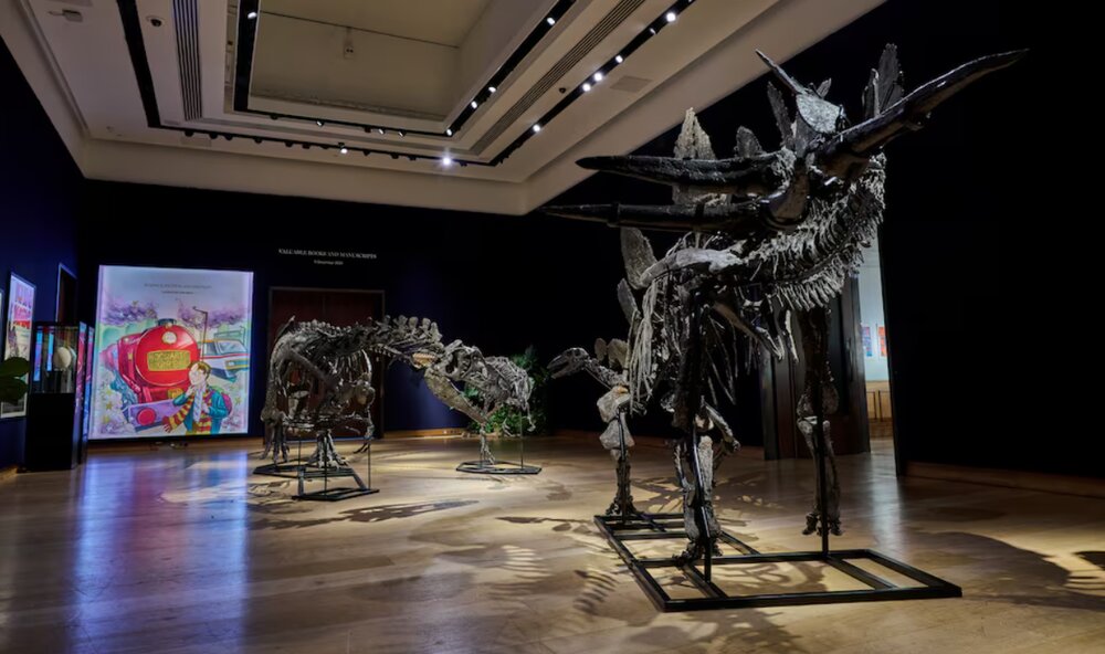 ۳ دایناسور حراج شدند - ایسنا