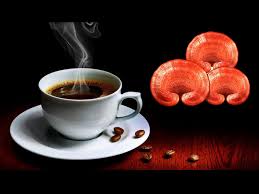 مزایای قهوه گانودرما: یک نوشیدنی بی نظیر برای سلامتی