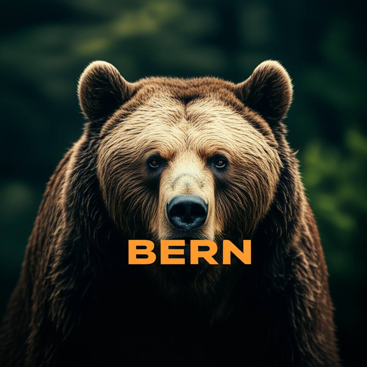 پارک خرس در برن