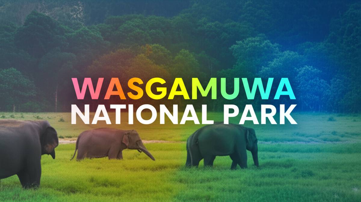پارک ملی واسگامووا Wasgamuwa National Park