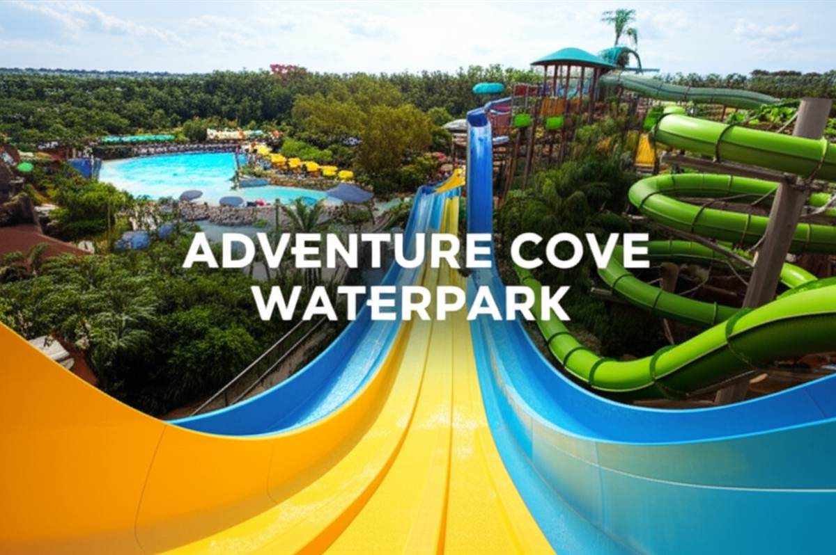پارک آبی خلیج ماجراجویی | Adventure Cove Waterpark