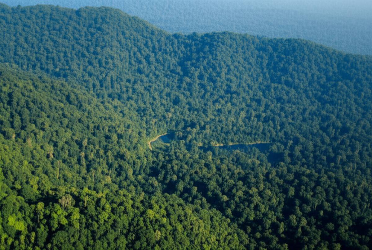 پاپوآ گینه نو | راهنمای جامع و کشف شگفتی های اقیانوسیه