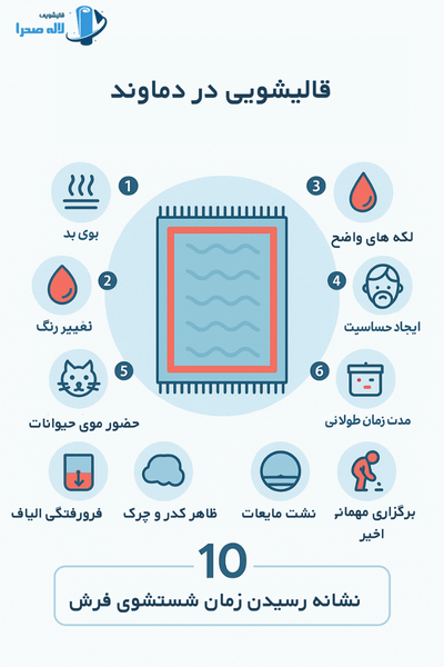 خانه ی شما حرف می زند: 10 نشانه پنهان که می گویند زمان شستشوی فرش فرا رسیده است