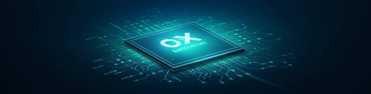 آموزش ثبت نام در صرافی اوکی اکسچنج | راهنمای کامل و تصویری