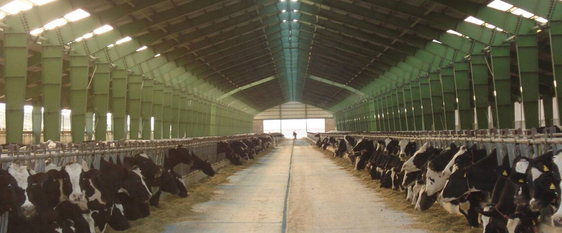 فرق سوله سبک دامداری و سوله صنعتی چیست و کدام بهتر است؟